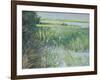 Towards Youghal, Ballymacoda-John Erskine-Framed Giclee Print