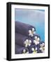 Towels on the Swimming Pool, Maldives, Indian Ocean-Papadopoulos Sakis-Framed Photographic Print