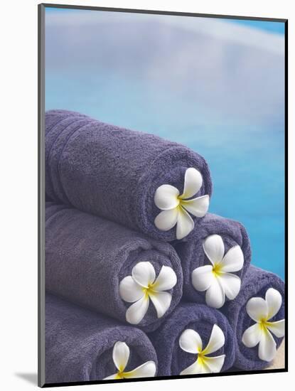 Towels on the Swimming Pool, Maldives, Indian Ocean-Papadopoulos Sakis-Mounted Photographic Print