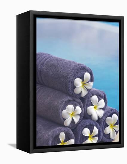 Towels on the Swimming Pool, Maldives, Indian Ocean-Papadopoulos Sakis-Framed Stretched Canvas