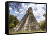 Tower 1, Mayan Ruins in the Gran Plaza, Tikal, Guatemala-Bill Bachmann-Framed Stretched Canvas