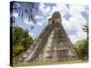 Tower 1, Mayan Ruins in the Gran Plaza, Tikal, Guatemala-Bill Bachmann-Stretched Canvas