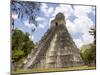 Tower 1, Mayan Ruins in the Gran Plaza, Tikal, Guatemala-Bill Bachmann-Mounted Photographic Print