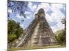 Tower 1, Mayan Ruins in the Gran Plaza, Tikal, Guatemala-Bill Bachmann-Mounted Photographic Print