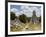 Tower 1, Mayan Ruins in the Gran Plaza, Tikal, Guatemala-Bill Bachmann-Framed Photographic Print