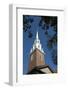 Tower at Harvard-dosecreative-Framed Photographic Print