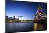 Tower Bridge 2-Giuseppe Torre-Mounted Photographic Print