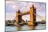 Tower Bridge and a London bus in the afternoon light, London-Ed Hasler-Mounted Photographic Print