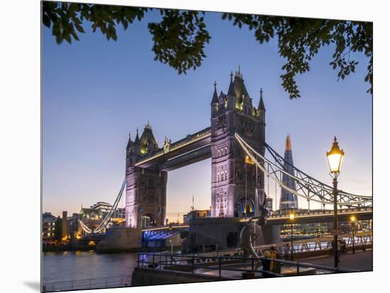 Tower Bridge and Shard at dusk, London, England, United Kingdom, Europe-Charles Bowman-Mounted Photographic Print