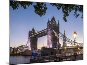 Tower Bridge and Shard at dusk, London, England, United Kingdom, Europe-Charles Bowman-Mounted Photographic Print