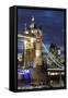 Tower Bridge and the Financial District at Night, London, England, United Kingdom, Europe-Miles Ertman-Framed Stretched Canvas