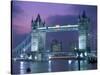 Tower Bridge at Night, London, UK-Peter Adams-Stretched Canvas