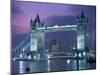 Tower Bridge at Night, London, UK-Peter Adams-Mounted Premium Photographic Print