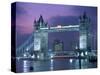 Tower Bridge at Night, London, UK-Peter Adams-Stretched Canvas