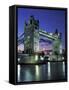 Tower Bridge, London, England, United Kingdom-Mark Mawson-Framed Stretched Canvas