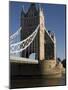 Tower Bridge, London, England-Amanda Hall-Mounted Photographic Print