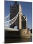 Tower Bridge, London, England-Amanda Hall-Mounted Photographic Print