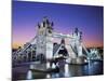 Tower Bridge, London, England-Steve Vidler-Mounted Photographic Print