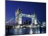 Tower Bridge, London, England-Sergio Pitamitz-Mounted Premium Photographic Print