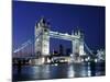 Tower Bridge, London, England-Sergio Pitamitz-Mounted Photographic Print