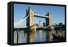 Tower Bridge, London-Peter Thompson-Framed Stretched Canvas