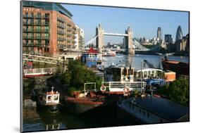 Tower Bridge, London-Peter Thompson-Mounted Photographic Print