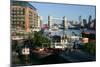 Tower Bridge, London-Peter Thompson-Mounted Photographic Print