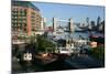 Tower Bridge, London-Peter Thompson-Mounted Photographic Print