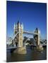 Tower Bridge Open, London, England, United Kingdom-Adina Tovy-Mounted Photographic Print