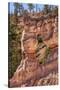 Tower Bridge Rock Formation, Bryce Canyon National Park, Utah-Michael DeFreitas-Stretched Canvas