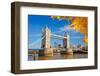 Tower Bridge with Autumn Leaves, London-sborisov-Framed Photographic Print