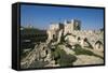 Tower of David (Founded in 2nd Century BC)-null-Framed Stretched Canvas