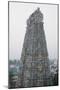 Tower of Kumbakonam Temple, Kumbakonam, Tamil Nadu, India, Asia-Bhaskar Krishnamurthy-Mounted Photographic Print