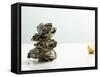 Tower of Oysters-Clinton Hussey-Framed Stretched Canvas