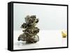 Tower of Oysters-Clinton Hussey-Framed Stretched Canvas