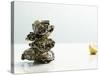 Tower of Oysters-Clinton Hussey-Stretched Canvas