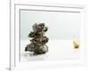 Tower of Oysters-Clinton Hussey-Framed Photographic Print