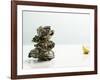 Tower of Oysters-Clinton Hussey-Framed Photographic Print