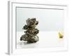 Tower of Oysters-Clinton Hussey-Framed Photographic Print