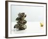 Tower of Oysters-Clinton Hussey-Framed Photographic Print