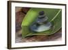 Tower of Stoneson Green Leaves-Uwe Merkel-Framed Photographic Print