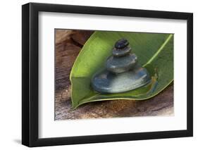 Tower of Stoneson Green Leaves-Uwe Merkel-Framed Photographic Print