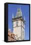 Tower of the Old Town Hall-Markus-Framed Stretched Canvas