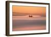 Tower Peek, Golden Gate Bridge Fog San Francisco Bay-Vincent James-Framed Photographic Print