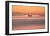 Tower Peek, Golden Gate Bridge Fog San Francisco Bay-Vincent James-Framed Photographic Print