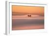 Tower Peek, Golden Gate Bridge Fog San Francisco Bay-Vincent James-Framed Photographic Print