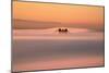 Tower Peek, Golden Gate Bridge Fog San Francisco Bay-Vincent James-Mounted Photographic Print