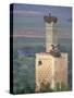 Tower With Birds and Bird Nests, Morocco-Merrill Images-Stretched Canvas