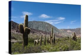 Towering cactus in the tortured Jujuy landscape, Argentina, South America-Alex Treadway-Stretched Canvas