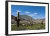 Towering cactus in the tortured Jujuy landscape, Argentina, South America-Alex Treadway-Framed Photographic Print